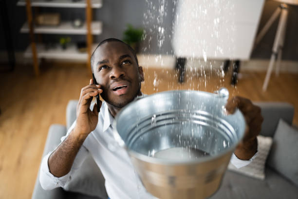 Best Water damage cleanup near me  in Teague, TX