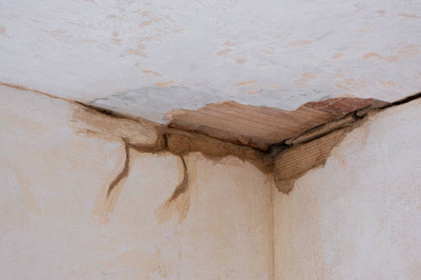 Best Sewage cleanup and water damage restoration  in Teague, TX