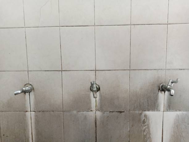 Best Carpet water damage restoration  in Teague, TX