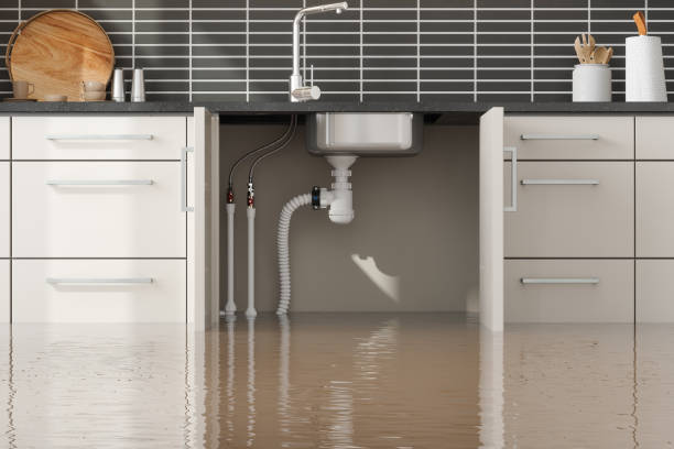 Best Ceiling water damage repair  in Teague, TX