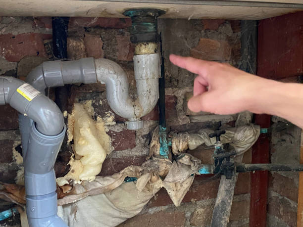 Best Flood restoration services  in Teague, TX
